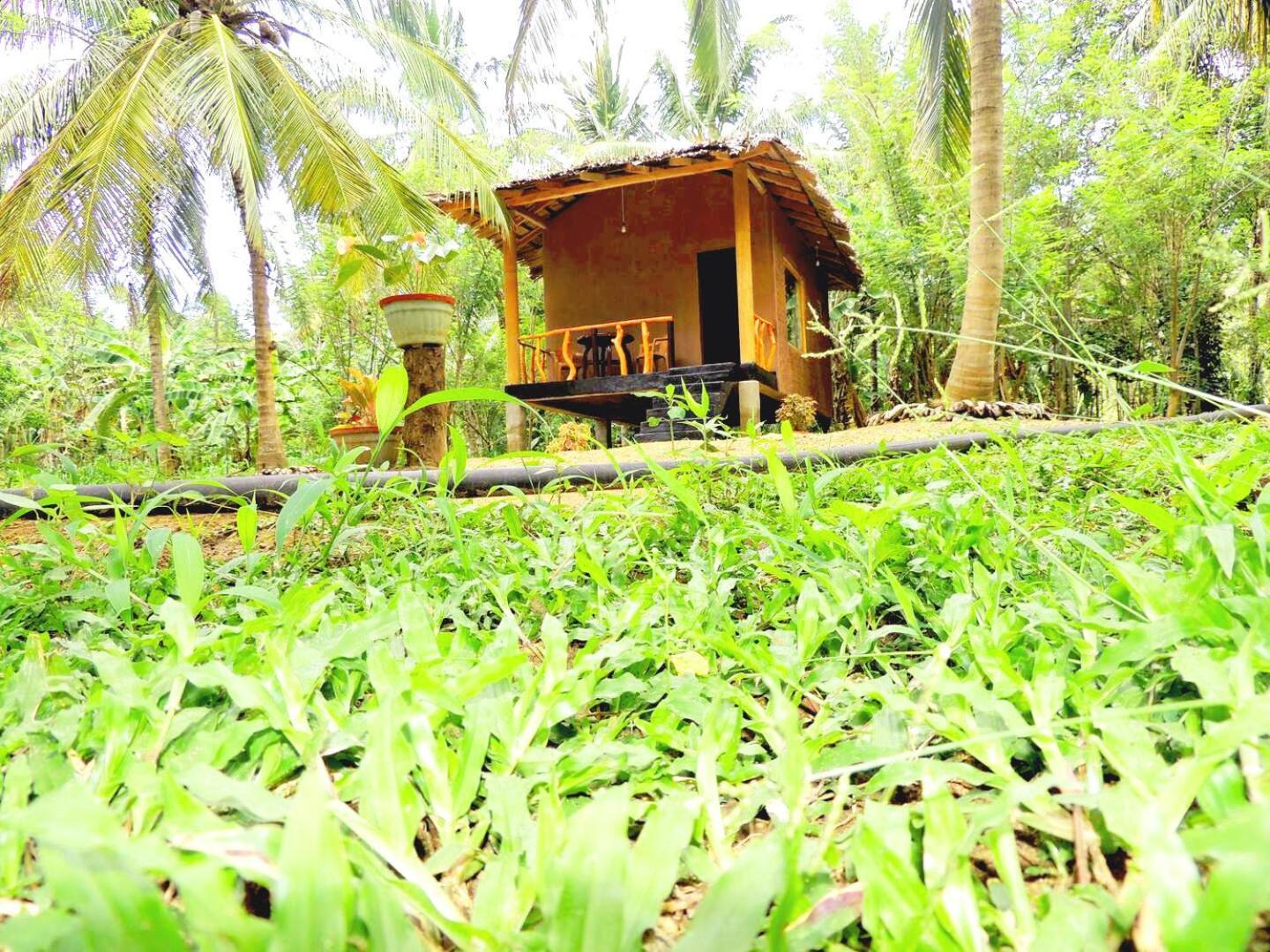 Milk House Cottage Udawalawe Exterior foto