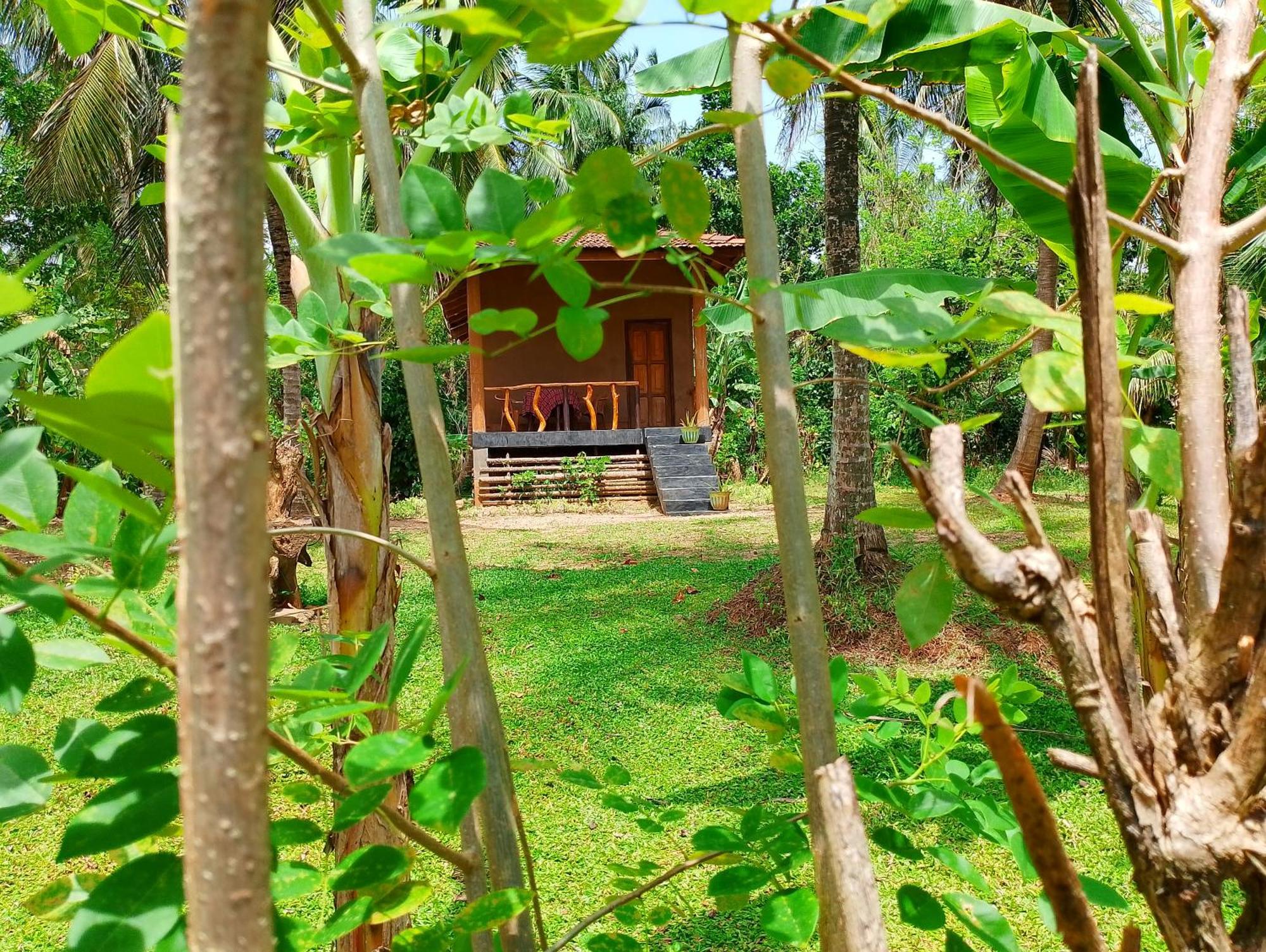 Milk House Cottage Udawalawe Zimmer foto